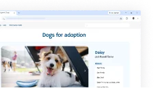 Chrome UI showing pet recommendations feature